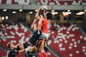 塞尔维亚女篮在欧洲锦标赛中争夺金牌，展示团队实力，塞尔维亚女篮球